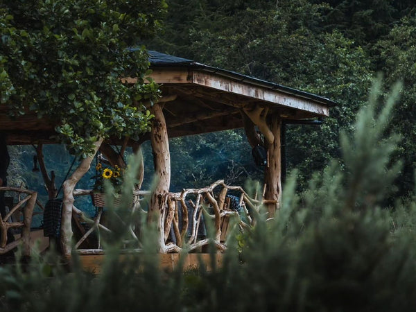 Sustainable Outdoor Cooking: Leave No Trace Behind