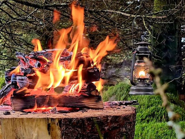 Wildlife Safety While Cooking and Dining Outdoors