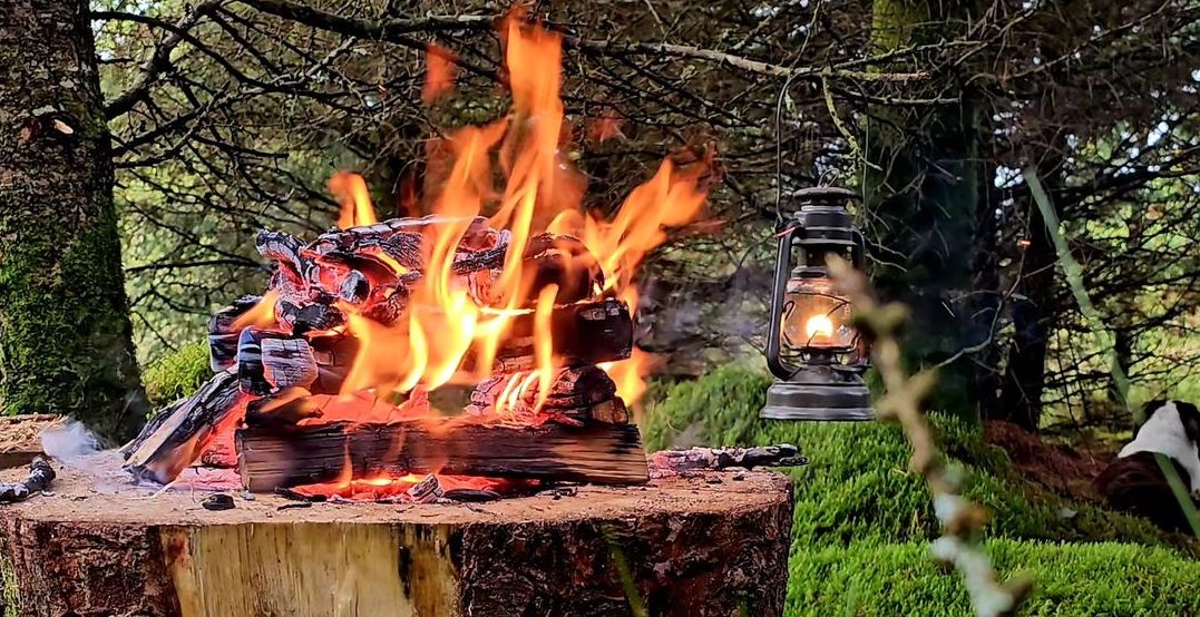 Wildlife Safety While Cooking and Dining Outdoors