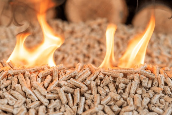 Fall's Best Smoking Woods for Unbeatable Flavor