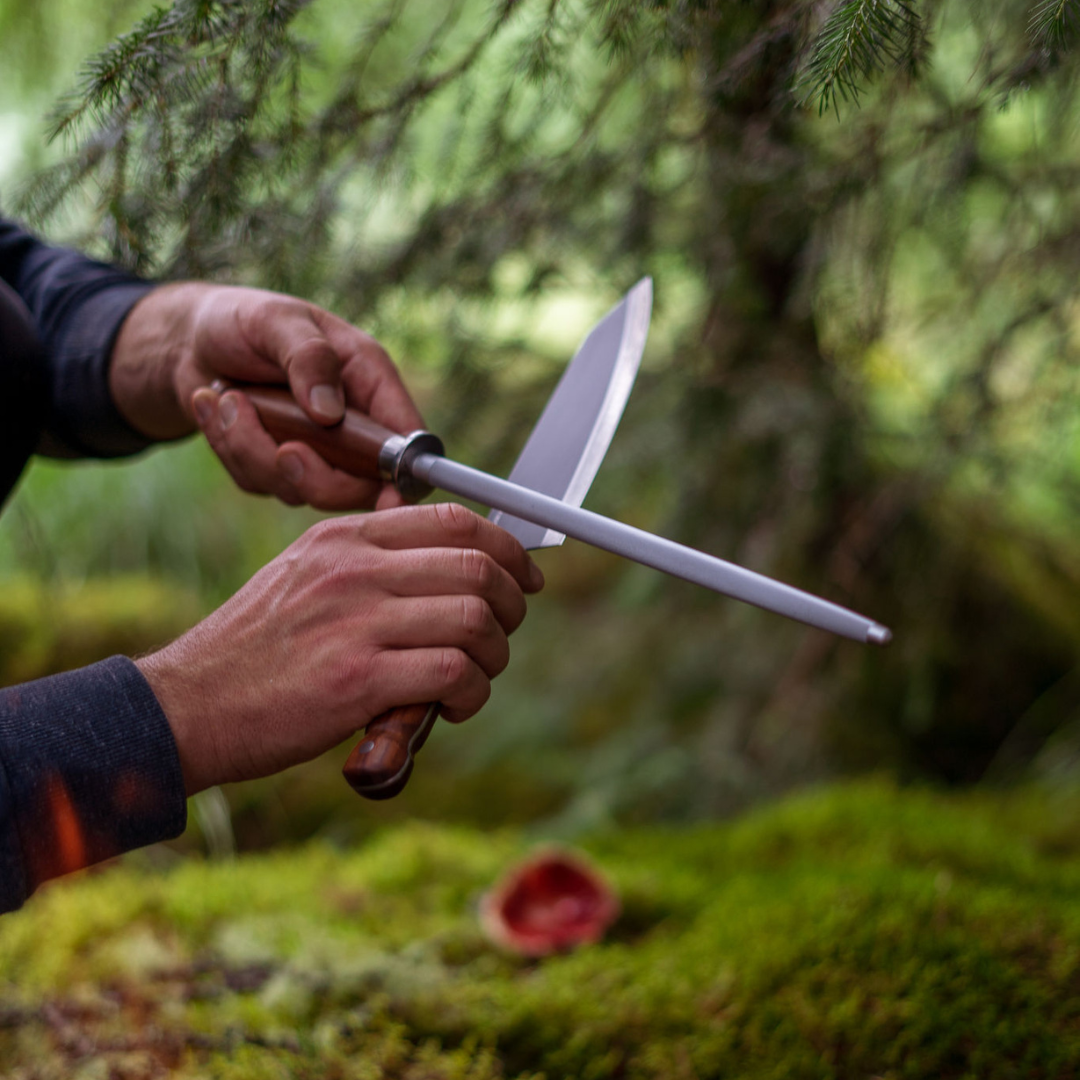 Outdoor Feast Kit